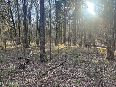 Welcome to Springwood Trail, come experience this new lakefront - photo 30