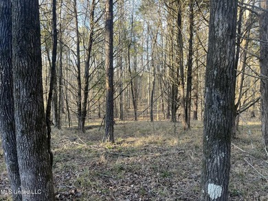 Welcome to Springwood Trail, come experience this new lakefront - photo 31