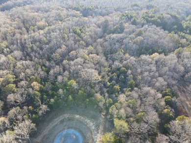 Welcome to Springwood Trail, come experience this new lakefront - photo 40