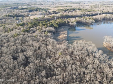 Welcome to Springwood Trail, come experience this new lakefront - photo 41