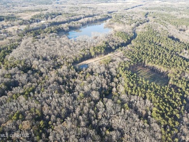 Welcome to Springwood Trail, come experience this new lakefront - photo 48