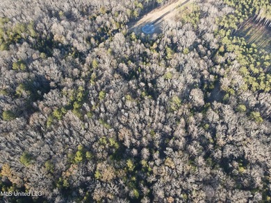 Welcome to Springwood Trail, come experience this new lakefront - photo 55