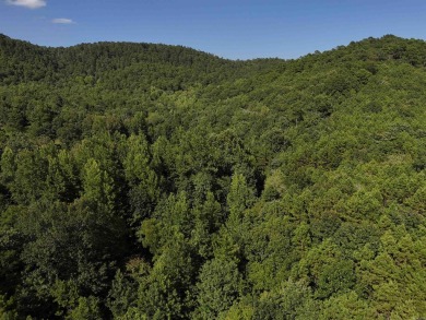 Lake Acreage For Sale in Mena, Arkansas