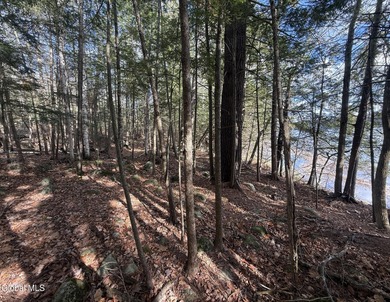 This beautiful lakefront building lot offers 253' of private - photo 4