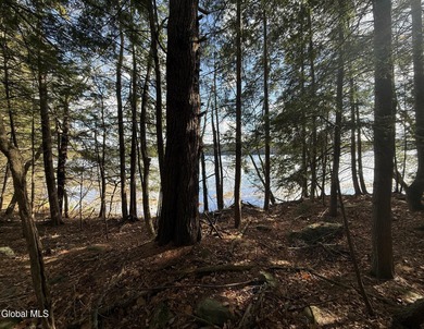 This beautiful lakefront building lot offers 253' of private - photo 8