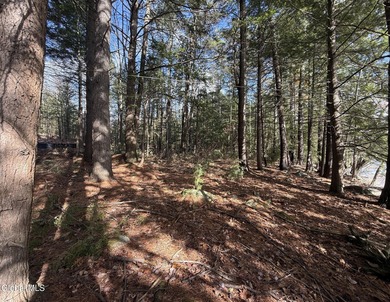 This beautiful lakefront building lot offers 253' of private - photo 10