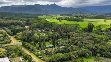 Set in one of Kauai's most desirable locations, this 5.25-acre - photo 3