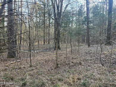 Welcome to Springwood Trail, come experience this new lakefront - photo 11
