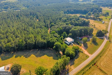 125.63 Acres | Franklin County, GA | Outdoorsman's Paradise Near - photo 15
