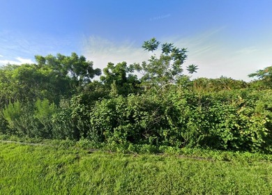 St. Lucie River Lot For Sale in Port Saint Lucie Florida