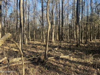 Welcome to Springwood Trail, come experience this new lakefront - photo 22