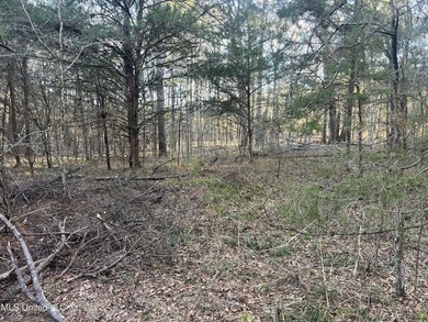 Welcome to Springwood Trail, come experience this new lakefront - photo 24