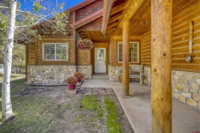 Lake Pagosa Home For Sale in Pagosa Springs Colorado