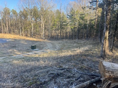 Welcome to Springwood Trail, come experience this new lakefront - photo 31
