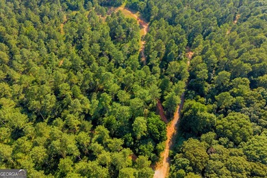 125.63 Acres | Franklin County, GA | Outdoorsman's Paradise Near - photo 33