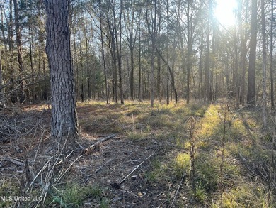 Welcome to Springwood Trail, come experience this new lakefront - photo 34