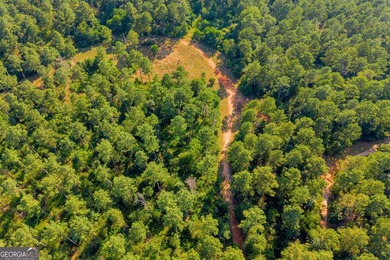 125.63 Acres | Franklin County, GA | Outdoorsman's Paradise Near - photo 34