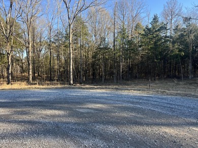 Welcome to Springwood Trail, come experience this new lakefront - photo 36