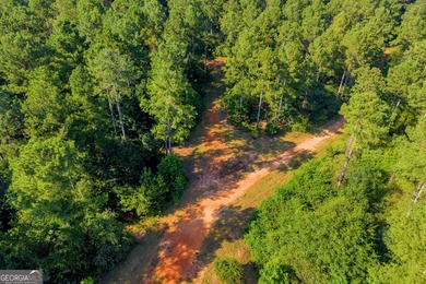 125.63 Acres | Franklin County, GA | Outdoorsman's Paradise Near - photo 36