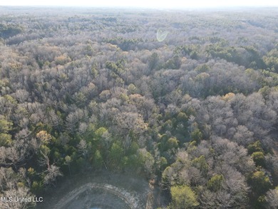 Welcome to Springwood Trail, come experience this new lakefront - photo 40