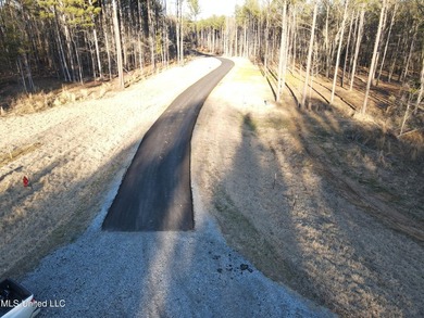 Welcome to Springwood Trail, come experience this new lakefront - photo 52