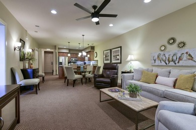 Modern Luxury Meets Branson Charm: Your Perfect Turn-Key - photo 8