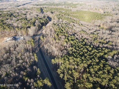 Welcome to Springwood Trail, come experience this new lakefront - photo 59
