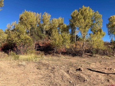 Lake Lot For Sale in Cedaredge, Colorado