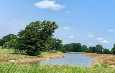 (private lake, pond, creek) Acreage For Sale in Saltillo Texas