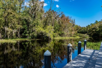 St. Johns River - Clay County Lot For Sale in Green Cove Springs Florida