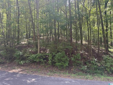 Lake Lot For Sale in Ohatchee, Alabama