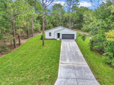 Bonable Lake Home Sale Pending in Dunnellon Florida