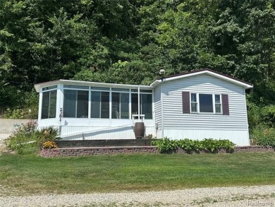 Lake Home For Sale in Dowling, Michigan