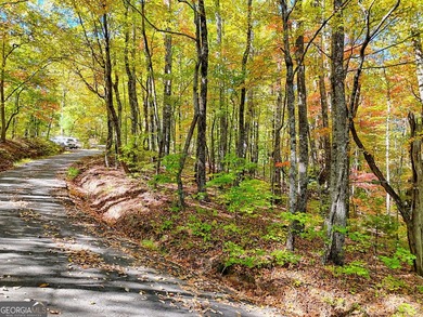 Nestled on beloved Charlie Mountain, this 2.41-acre lot on - photo 3