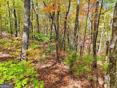 Nestled on beloved Charlie Mountain, this 2.41-acre lot on - photo 4