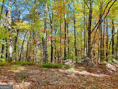 Nestled on beloved Charlie Mountain, this 2.41-acre lot on - photo 5