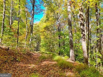 Nestled on beloved Charlie Mountain, this 2.41-acre lot on - photo 6