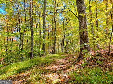 Nestled on beloved Charlie Mountain, this 2.41-acre lot on - photo 7