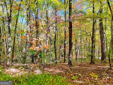 Nestled on beloved Charlie Mountain, this 2.41-acre lot on - photo 8