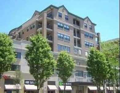 Lake Michigan - Cook County Condo Active Under Contract in Chicago Illinois