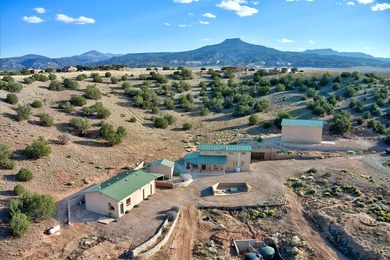Come and enjoy the vistas of Abiquiu Lake and the red rocks of - photo 40