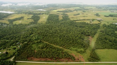 Down Farm Road 2255 lies approximately 100 acres of opportunity - photo 1