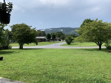 Comfortable one level home with great mountain views. Most of - photo 4