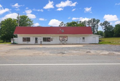 Lake Commercial For Sale in Big Rock, Tennessee