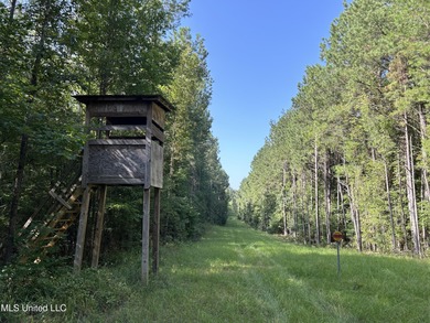 Lake Acreage For Sale in Hazlehurst, Mississippi