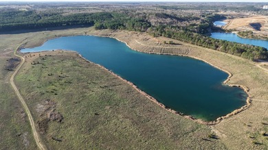 (private lake, pond, creek) Acreage For Sale in Nashville Arkansas