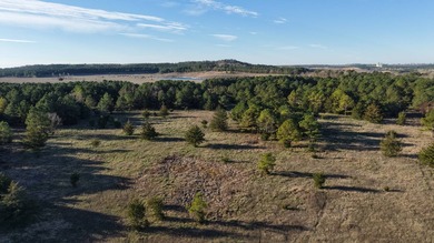 Once a gypsum mine, which this area is well known for, the 197 - photo 3