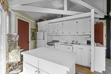 Welcome to your retro lakefront retreat on beautiful Lake - photo 16