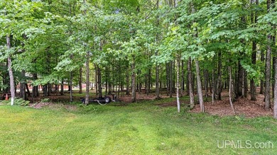 his beautiful home is located on the Cisco Chain, which features - photo 23
