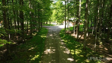 his beautiful home is located on the Cisco Chain, which features - photo 26